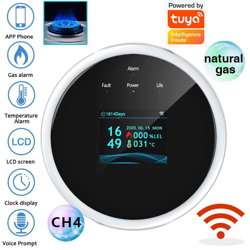 Home Security With Monitoring - 2.4G WiFi 가스 경보 센서 가연성