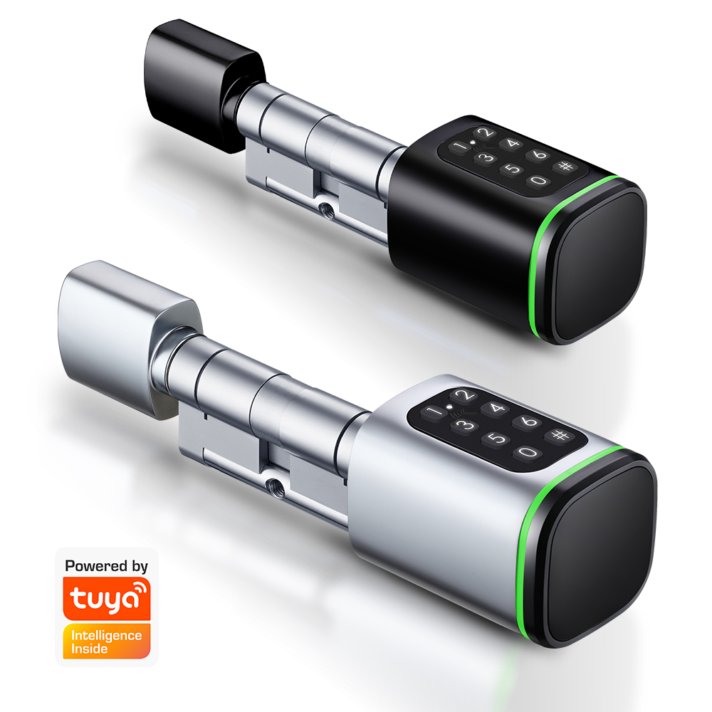 Home Security Battery - 스마트 실린더 잠금 장치 Tuya 60-90mm