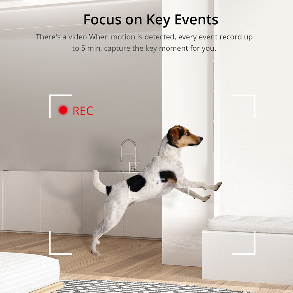 SONOFF 1080P HD Wi-Fi IOT 카메라  - Home Security Google Camera 리뷰 및 가격