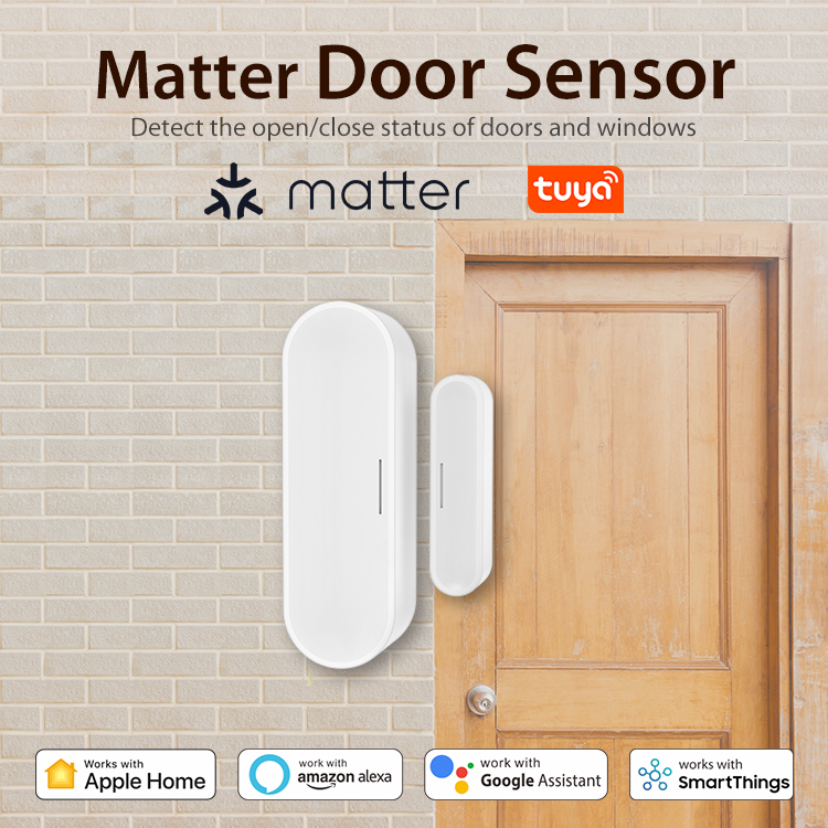 Tuya 스마트 도어 윈도우 센서, 홈 보안 감지기,  - Home Security Battery 리뷰 및 가격
